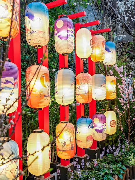 Lanterns among cherry blossoms at Gardens by the Bay during sakura bloom.