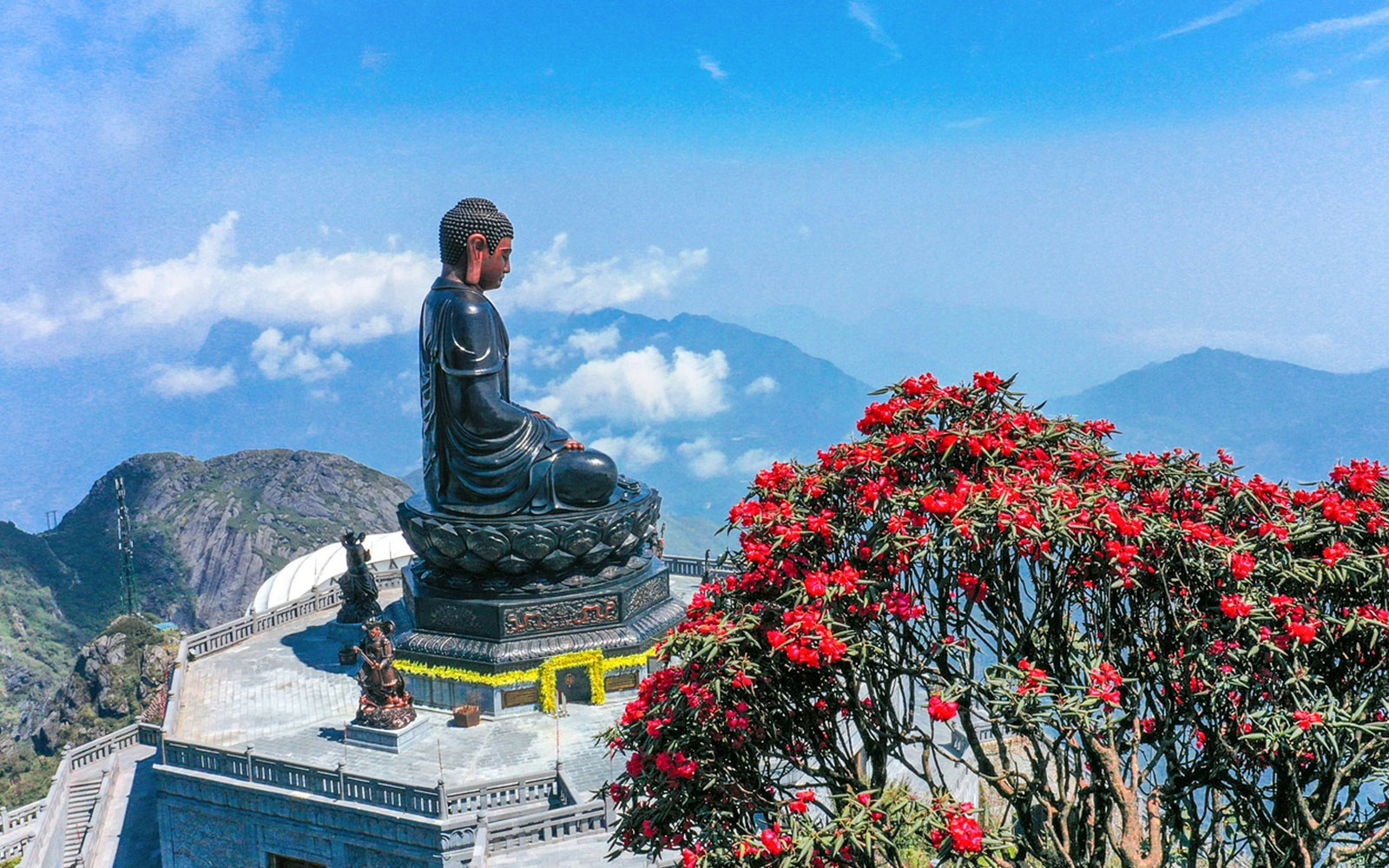 Cable car ascending Fansipan Mountain at Sun World Fansipan Legend, Vietnam, surrounded by lush greenery.
