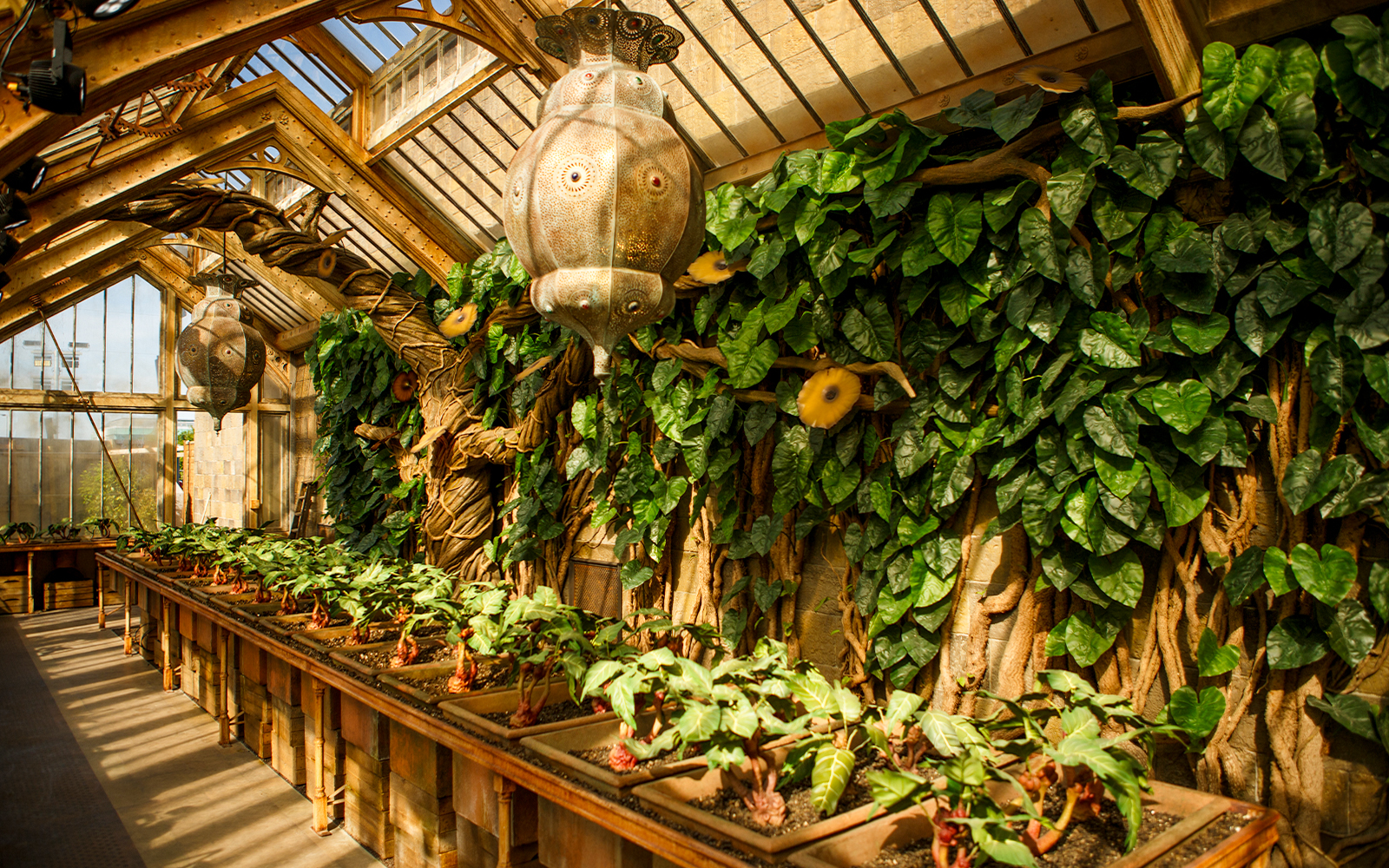 Greenhouse with magical plants at Harry Potter Warner Bros. Studio Tour, London.