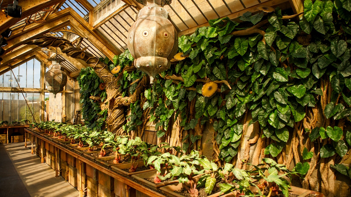 Greenhouse with magical plants at Harry Potter Warner Bros. Studio Tour, London.