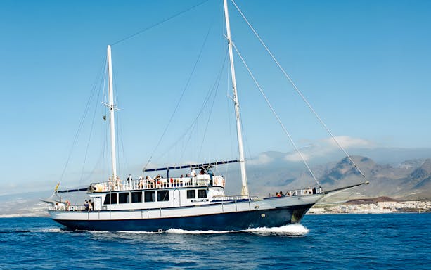 Sailing ship on a No-Chase Whale and Dolphin Cruise near coastal mountains.