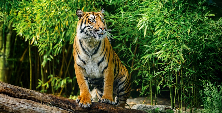 Grădina zoologică Wroclaw