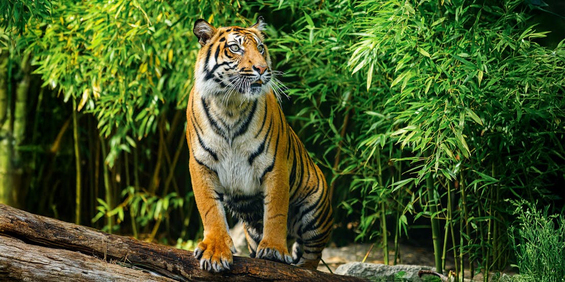 Zoo Wroclaw