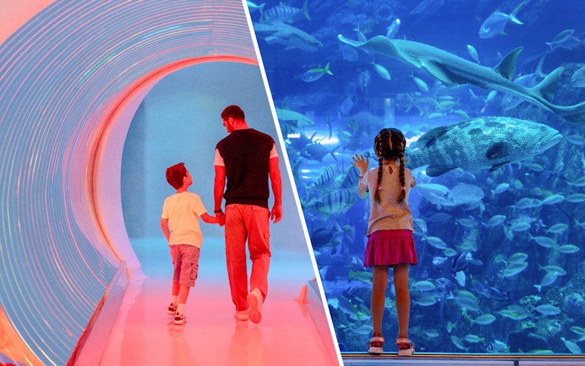 AYA Universe with Dubai aquarium tickets