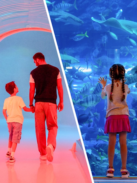 AYA Universe with Dubai aquarium tickets