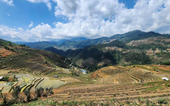 Rice terraces in Mu Cang Chai with mountains in the background, part of a motorbike tour from Sa Pa.
