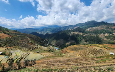 Rice terraces in Mu Cang Chai with mountains in the background, part of a motorbike tour from Sa Pa.
