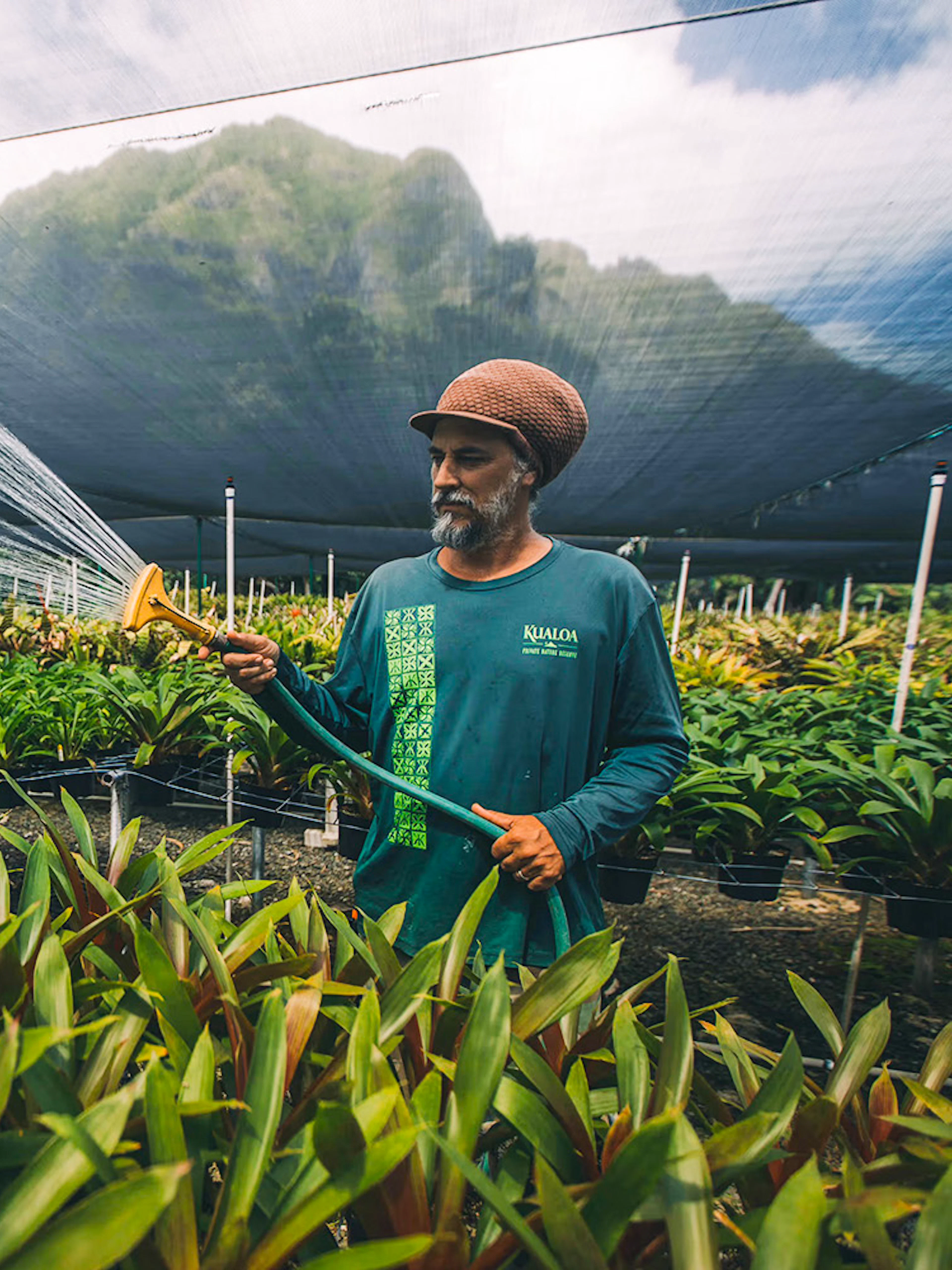 Man watering plants in a greenhouse on the Kualoa Grown Tour in Hawaii.