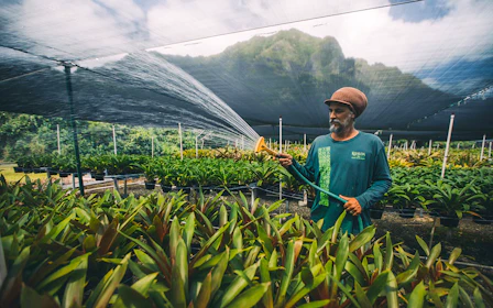 Kualoa Ranch: Kualoa Grown Tour