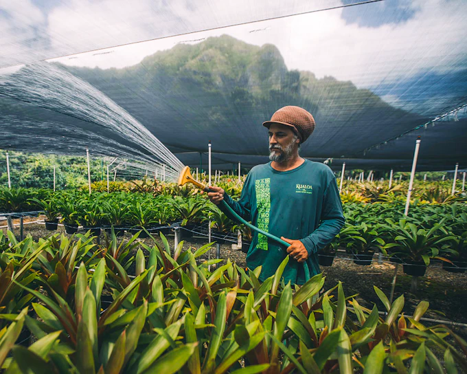 Kualoa Ranch: Kualoa Grown Tour