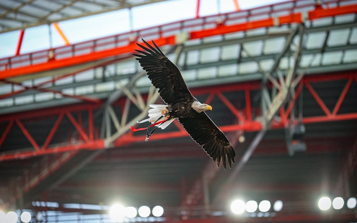 Eagle flying inside Benfica Stadium in Lisbon.