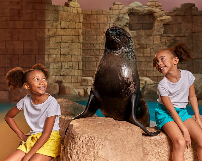 Sea Lion Encounter with Aquaventure Waterpark Tickets