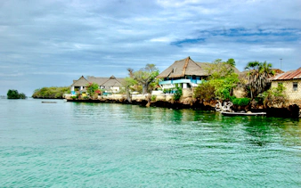 Coastal village view on Wasini Island with traditional thatched-roof houses by the water.