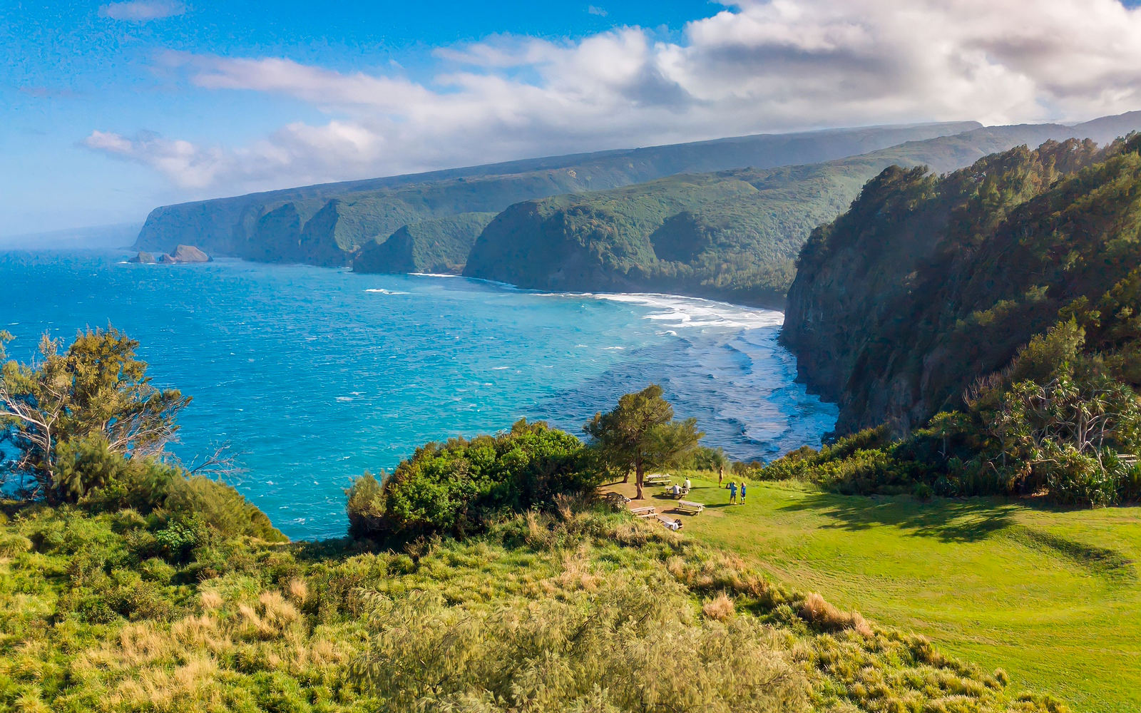 Kohala sea cliffs with lush greenery and ocean view, Hawaii.