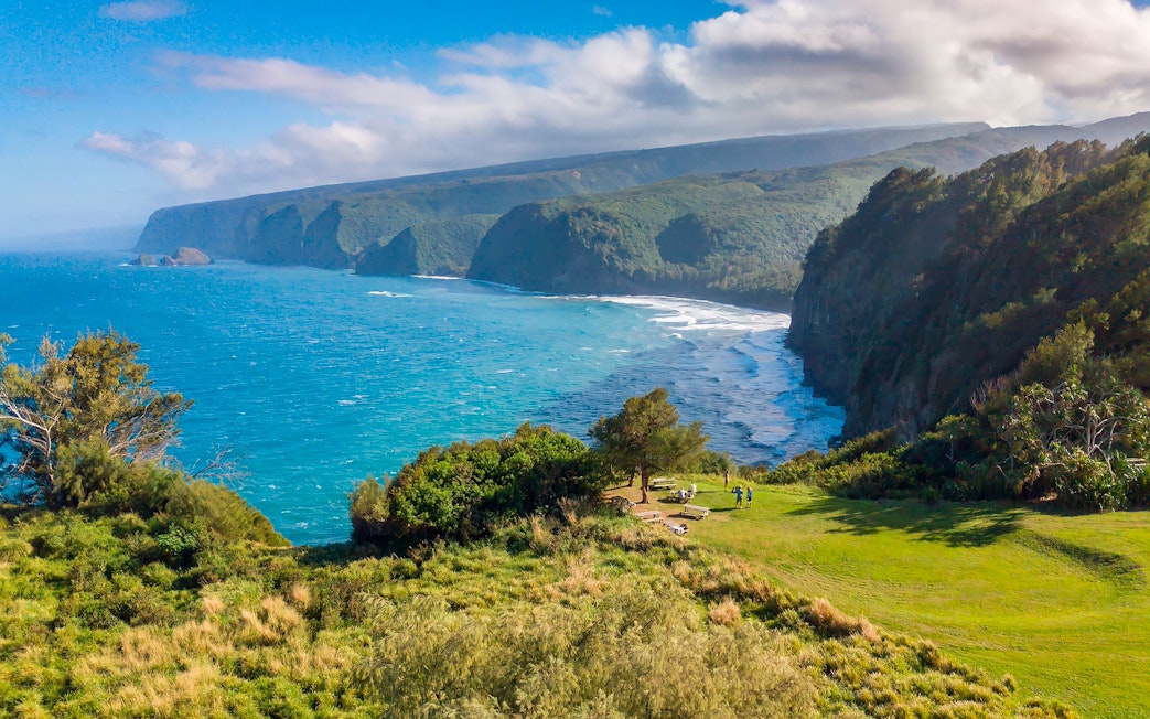 Kohala sea cliffs with lush greenery and ocean view, Hawaii.