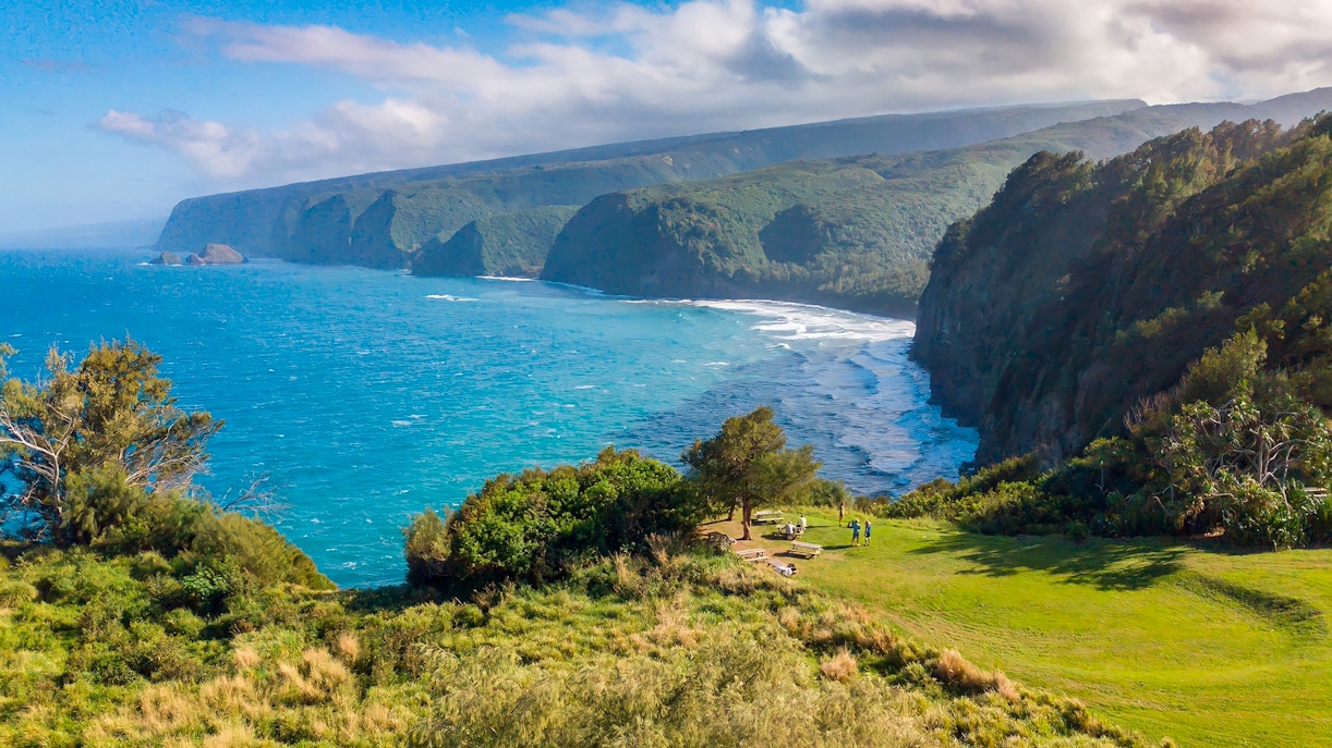 Kohala sea cliffs with lush greenery and ocean view, Hawaii.