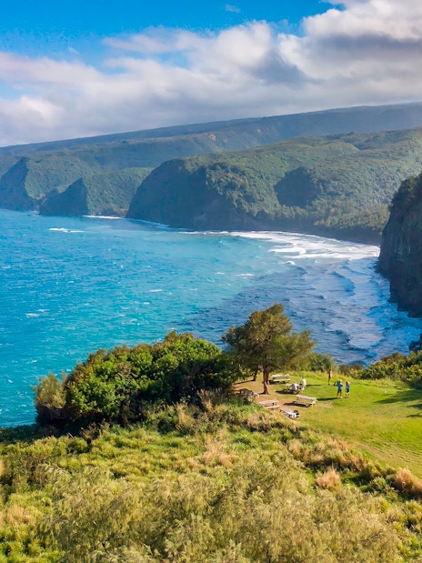 Kohala sea cliffs with lush greenery and ocean view, Hawaii.