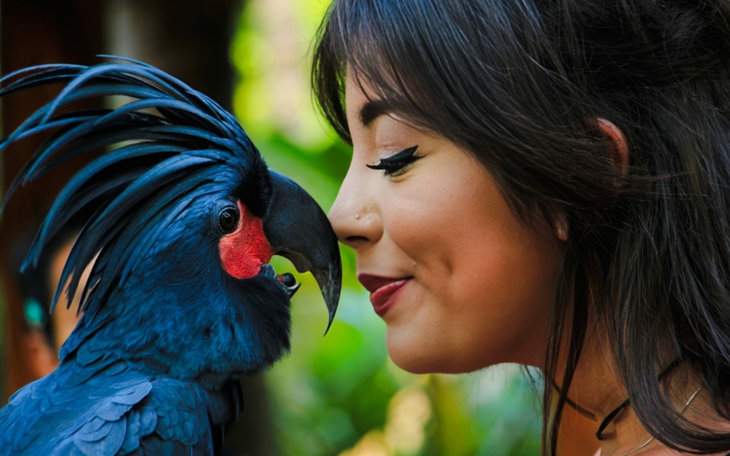 Tourist interacting with a parrot at Lombok Wildlife Park.