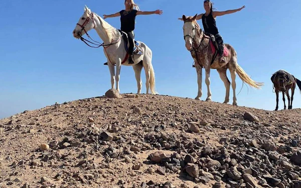 Premium 1 Hour Elite Desert Horseback Riding Adventure - Hurghada