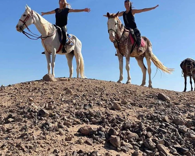 Premium 1 Hour Elite Desert Horseback Riding Adventure - Hurghada