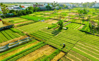 hoi an countryside bicycle tour with tra que vegetable village farming experience and lunch-9