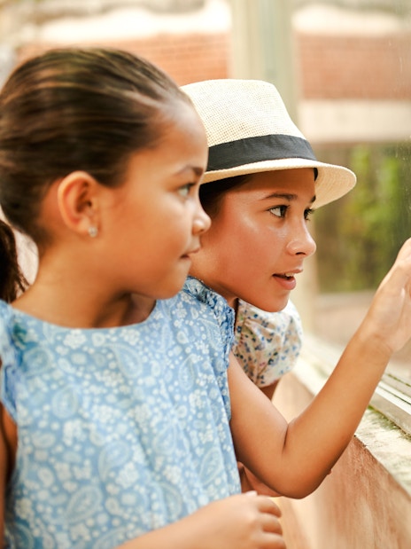 Children observing a python through glass at a zoo exhibit.