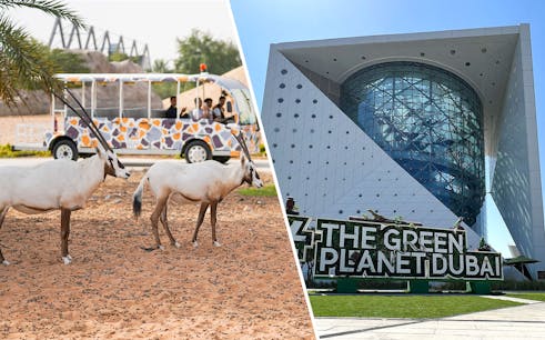 combo (ahorra un 22%): green planet dubai + dubai safari park-safari journey tickets-1