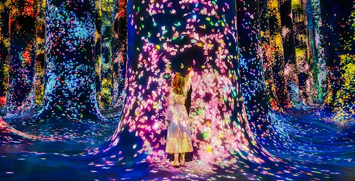 teamLab Phenomena Abu Dhabi