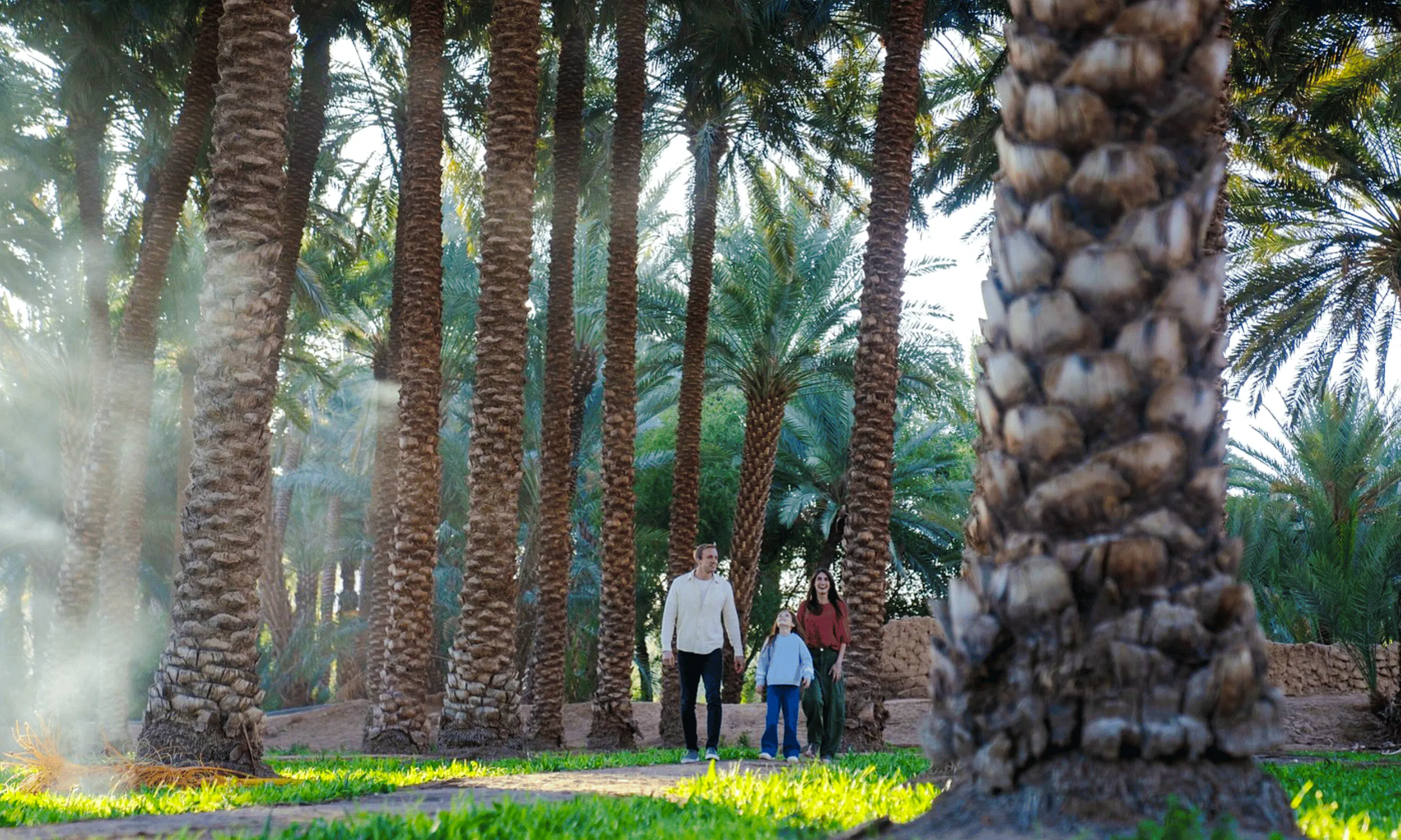 Family walking through palm trees in AlUla, Saudi Arabia, on a private day trip from Madinah.