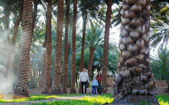 Family walking through palm trees in AlUla, Saudi Arabia, on a private day trip from Madinah.
