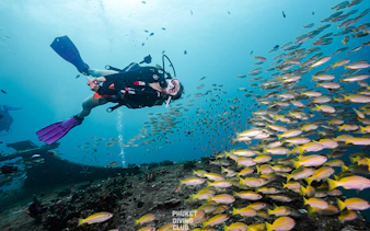 Scuba diver exploring coral reef with school of fish, Racha Island, Phuket.