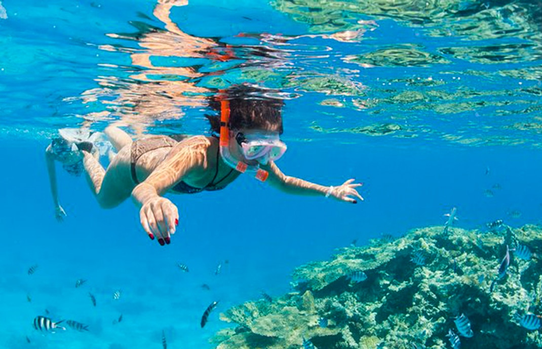 Snorkeler exploring coral reef