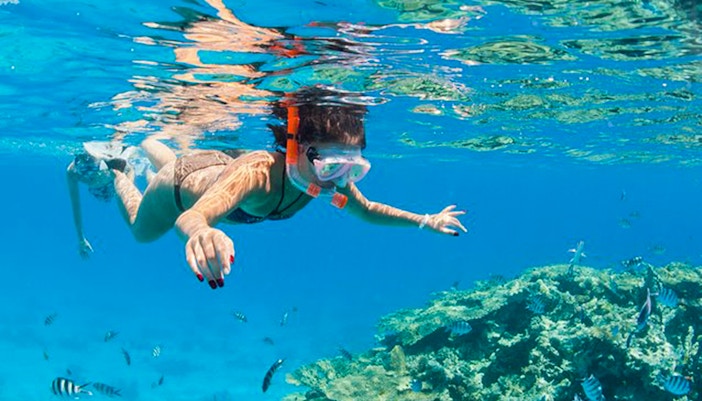 Snorkelling and Diving in Hurghada