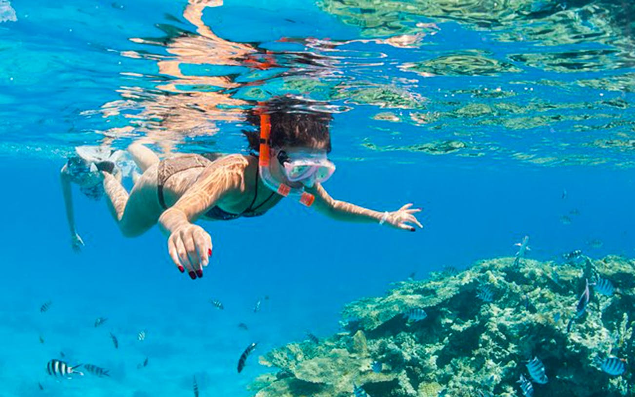 Snorkeler exploring coral reef in Hurghada during full-day boat tour.