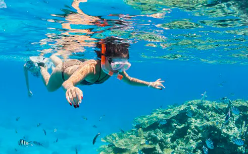 Snorkeler exploring coral reef in Hurghada during full-day boat tour.