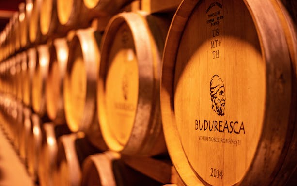 Wine barrels at Budureasca winery for blending workshop tour.