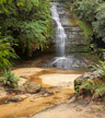 Lyrebird Dell