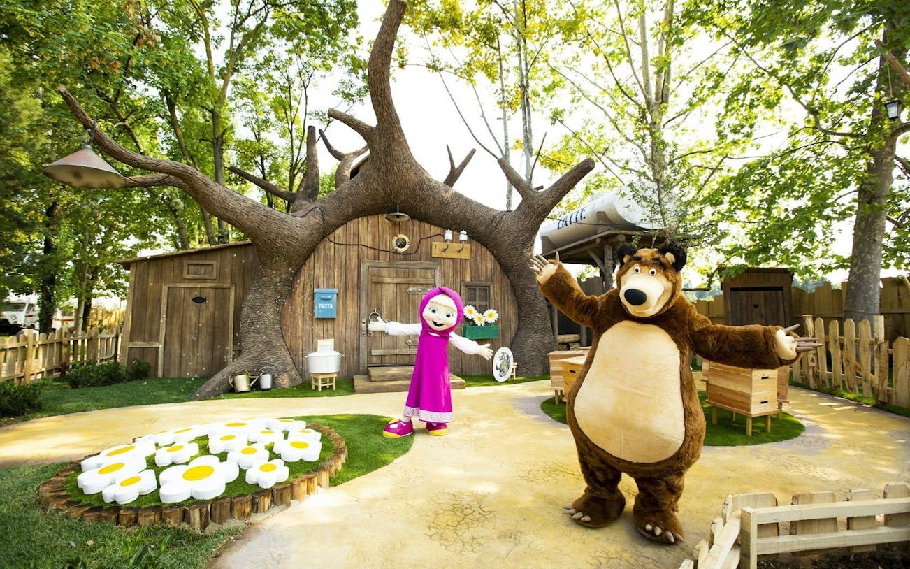 leolandia: open date ticket-1