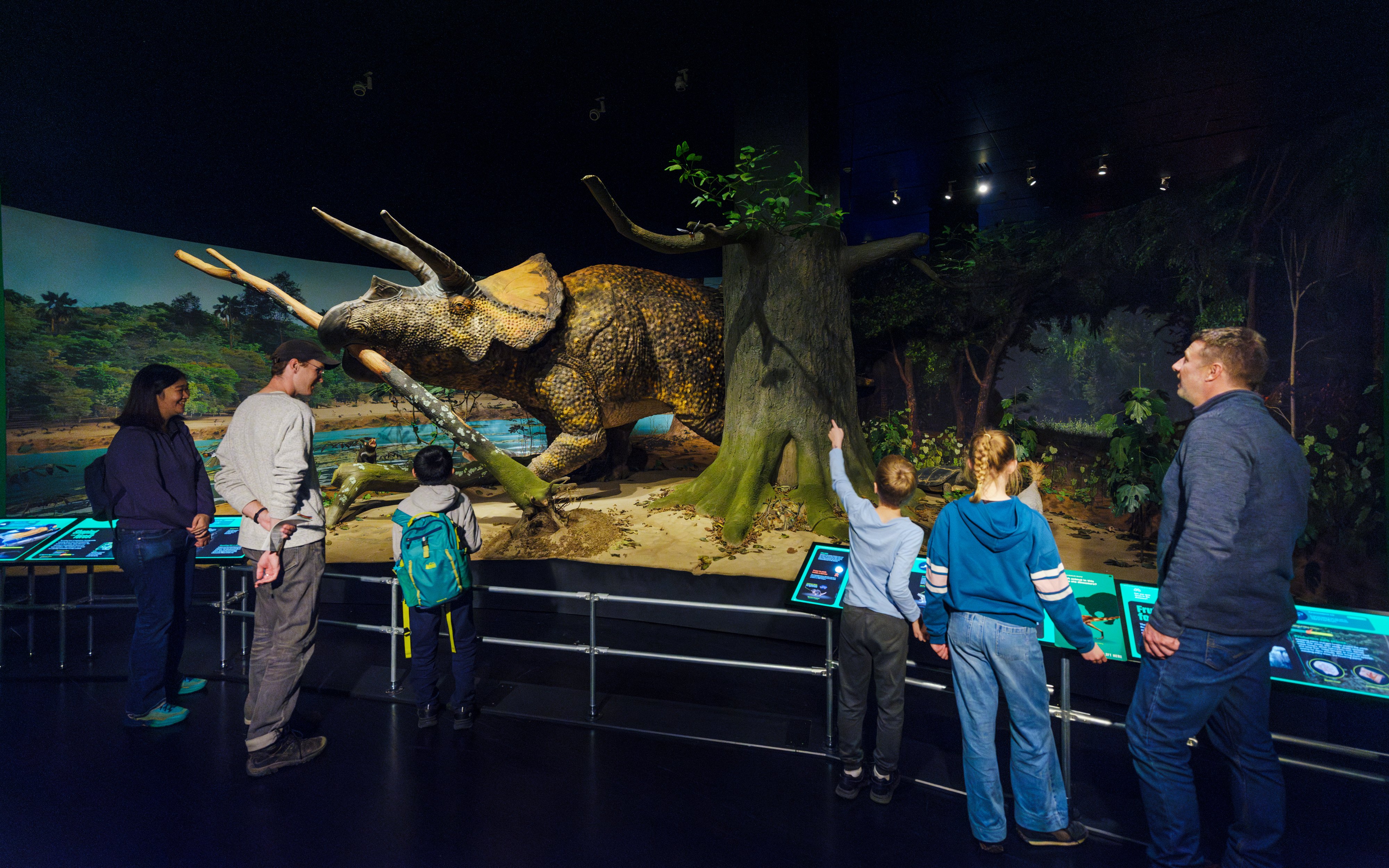Visitors observing a Triceratops model at the Impact: The End of the Age of Dinosaurs exhibit.