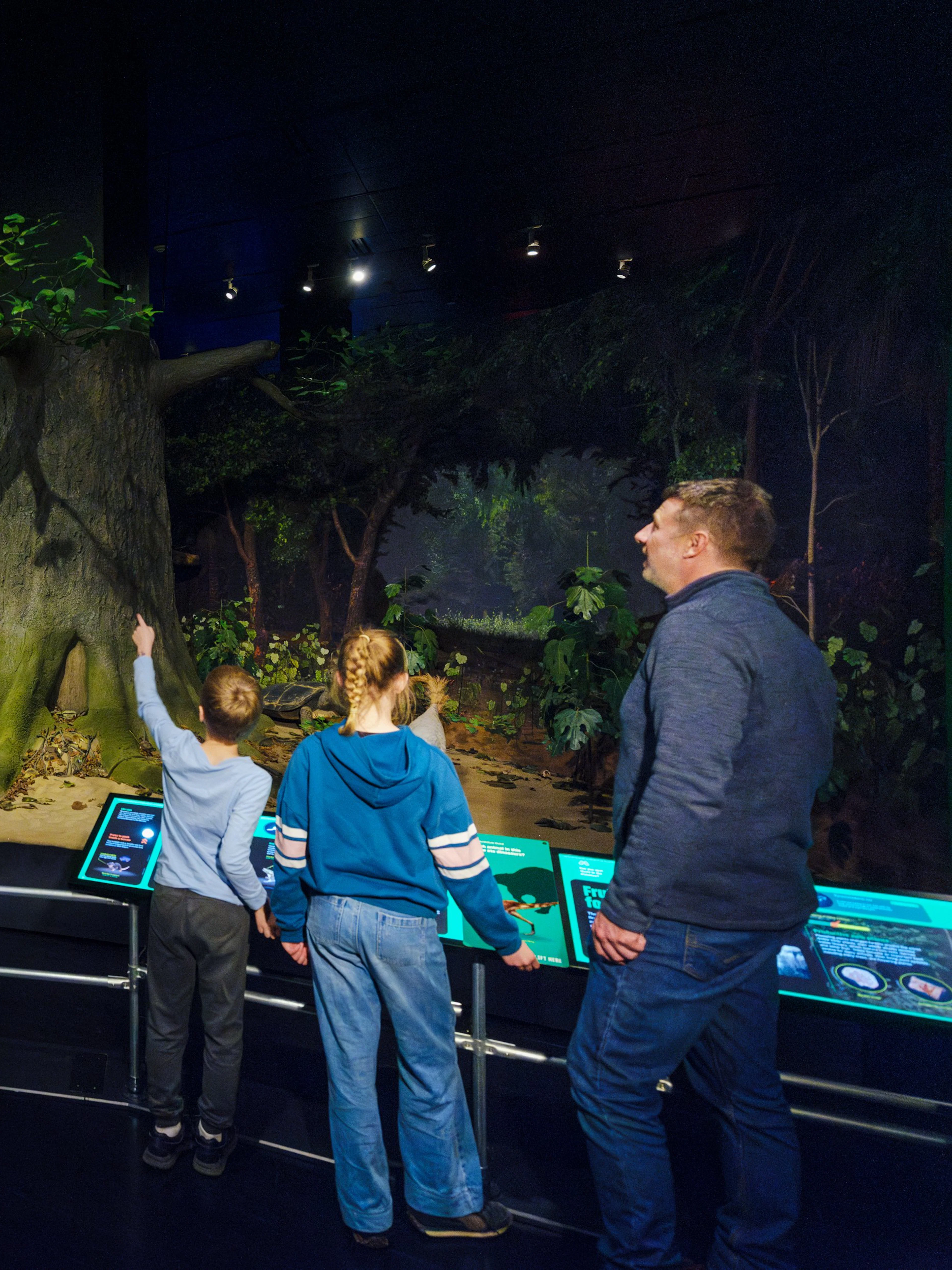 Visitors observing a Triceratops model at the Impact: The End of the Age of Dinosaurs exhibit.