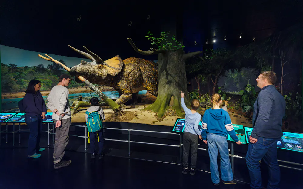 Billets pour le Musée américain d'histoire naturelle + toutes les expositions à billets