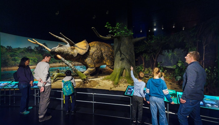 Visitors observing a Triceratops model at the Impact: The End of the Age of Dinosaurs exhibit.