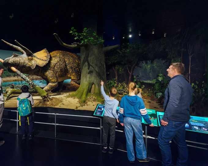American Museum of Natural History Tickets + All Ticketed Exhibitions