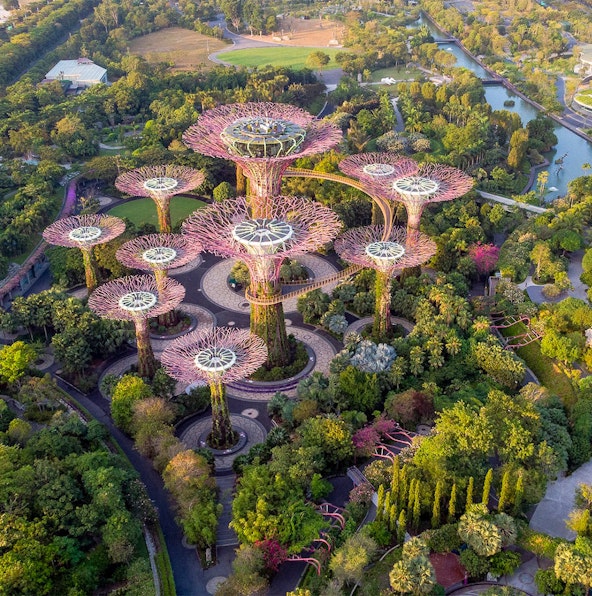 Gardens by the Bay: Attractions you can’t miss