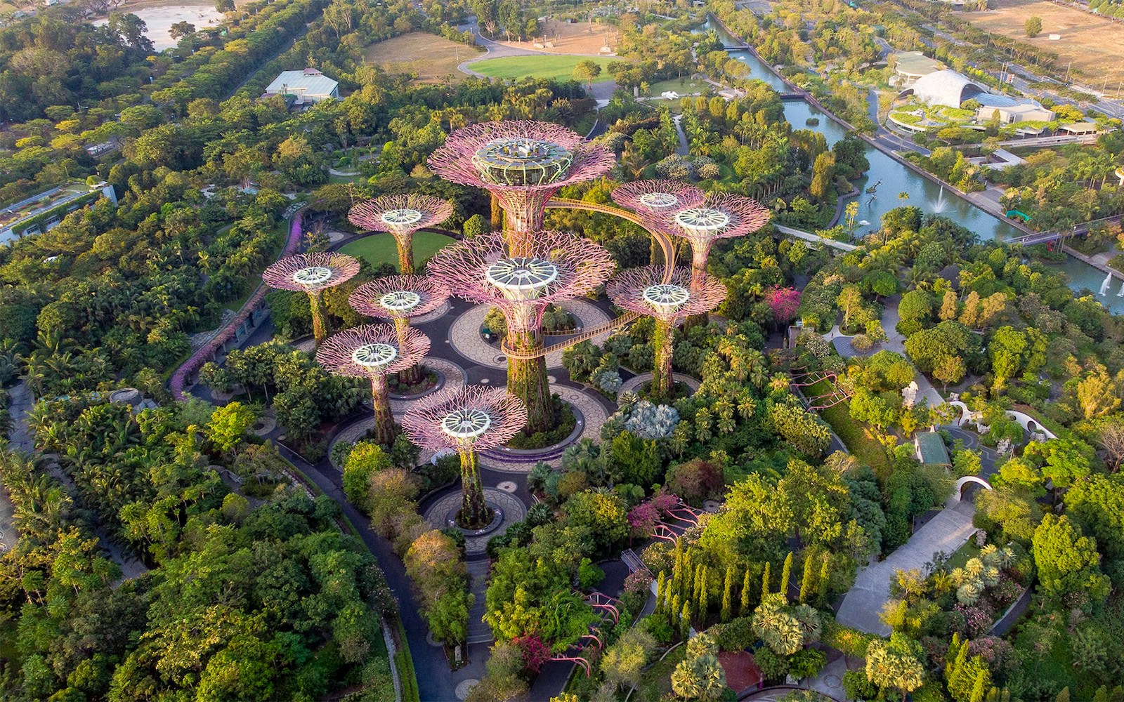 Gardens by the bay Attractions - Supertree Observatory