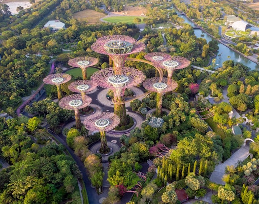 Supertree Observatory at Gardens by the Bay, Singapore, showcasing towering vertical gardens.