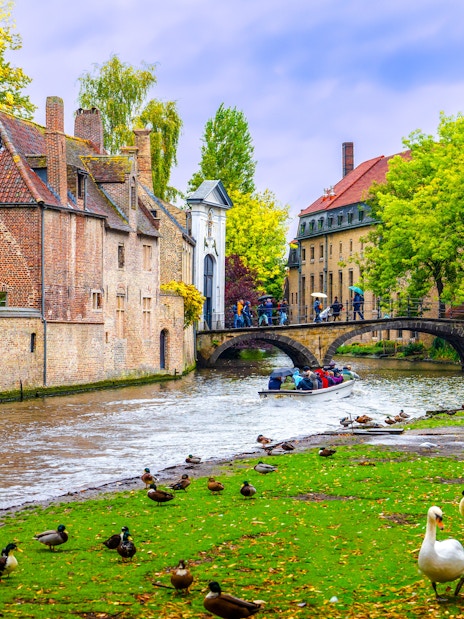 Stone bridge over Lake of Love with swans and tourists, near Begijnhof, Bruges, Belgium.