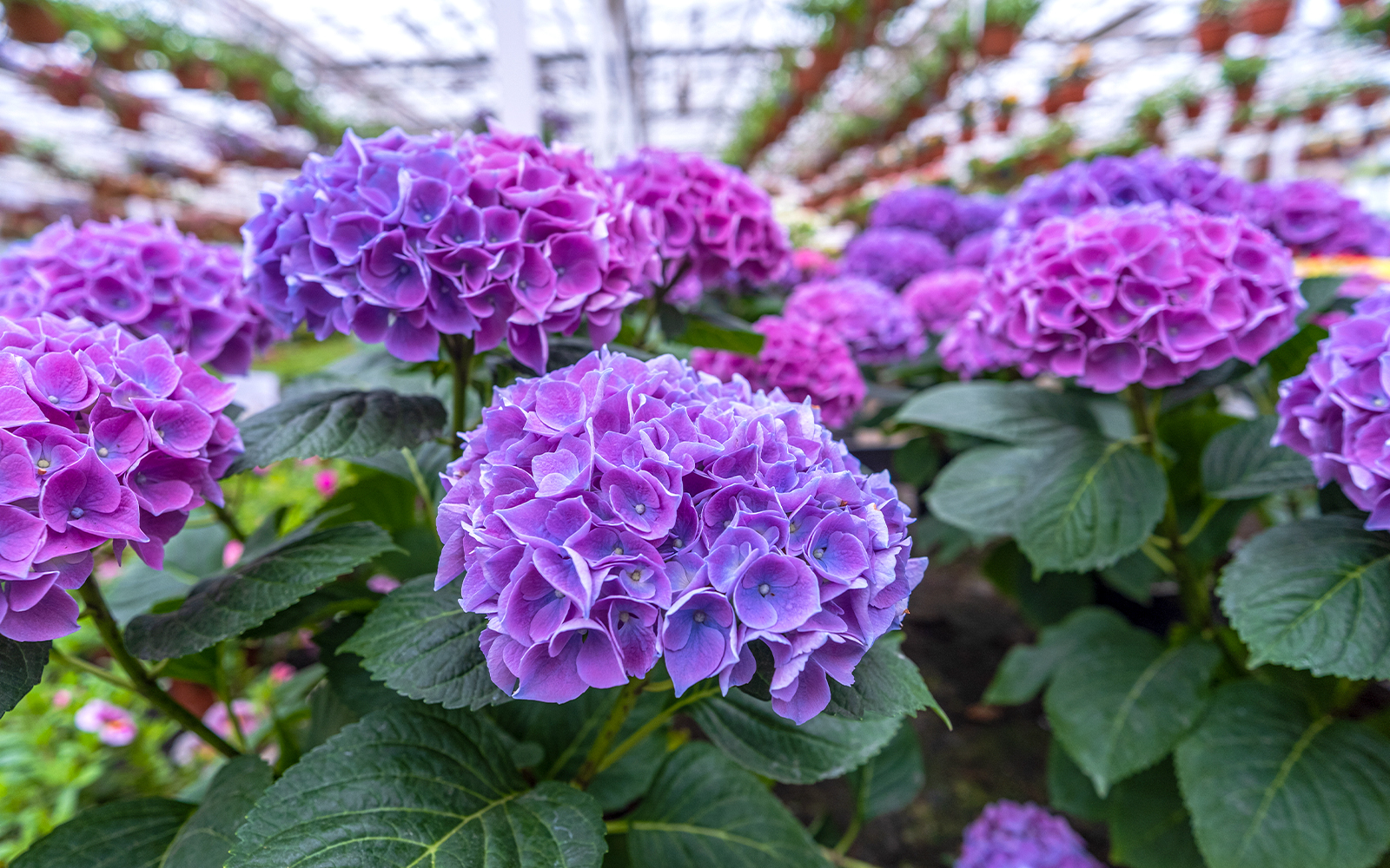 Niagara Falls Canada