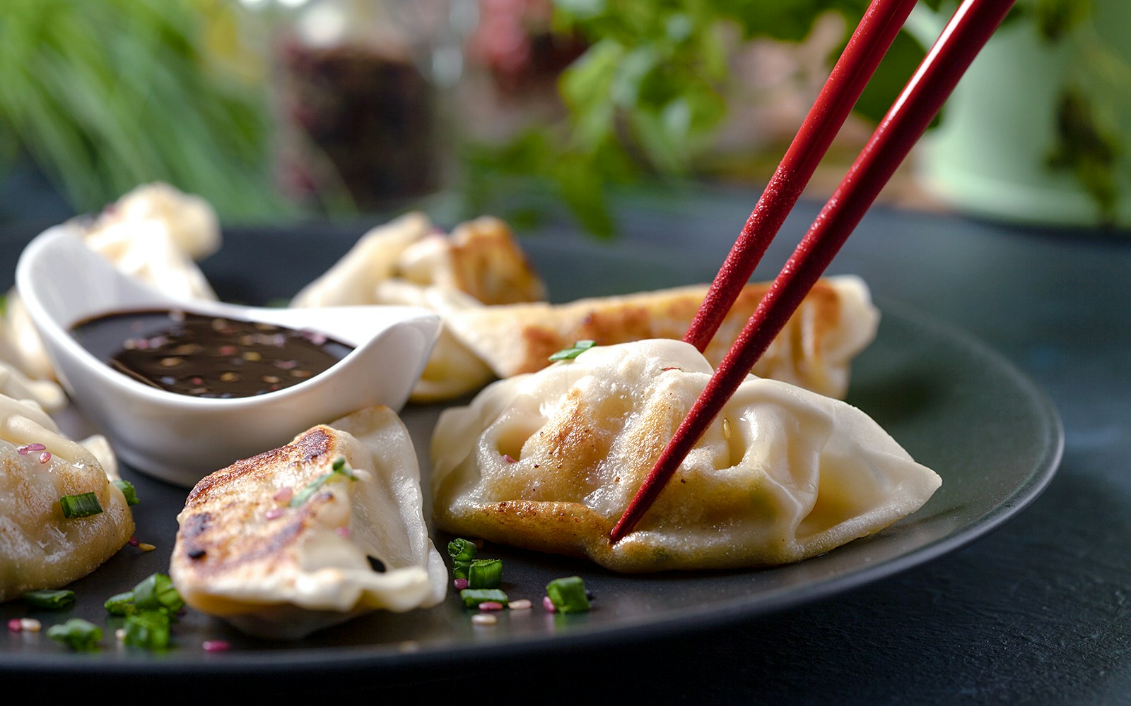 Gyoza with dipping sauce at Osaka Ohsho Umeda Taiyuji.
