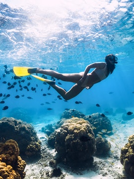 Snorkeler gliding over coral reefs and fish in Maui, Hawaii.